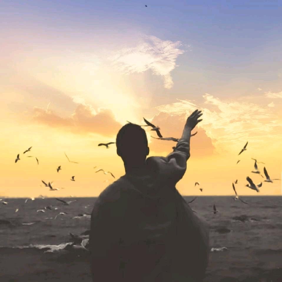 杨杨杨