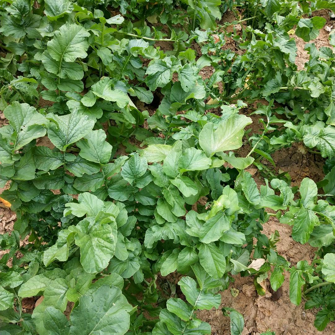 ❤️。快乐人生