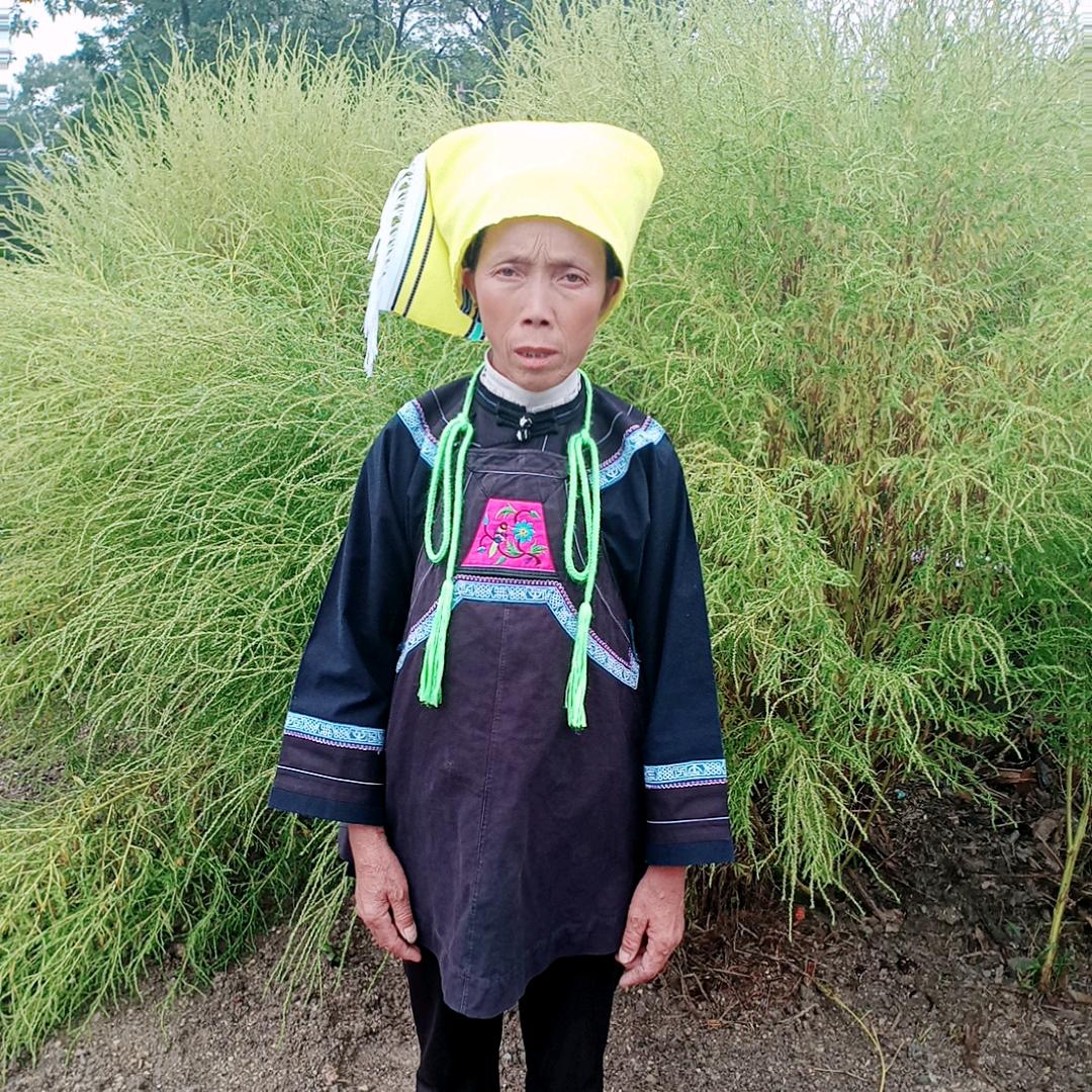 我爱兰花