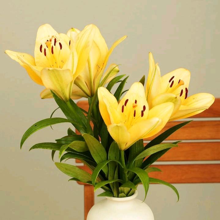 小敏