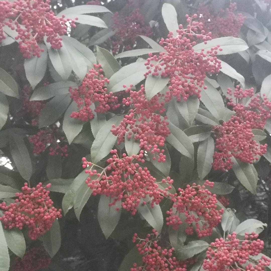 一生幸福