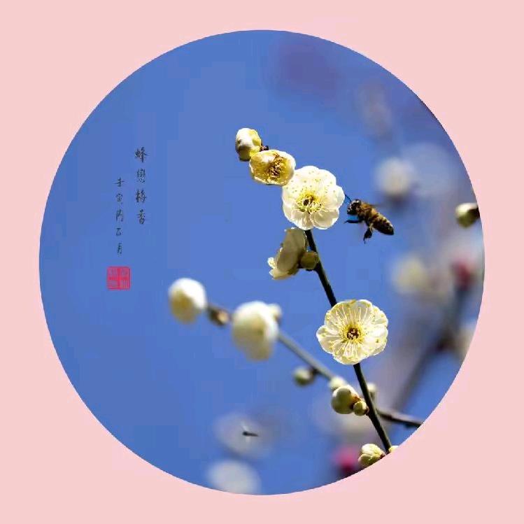 安然888