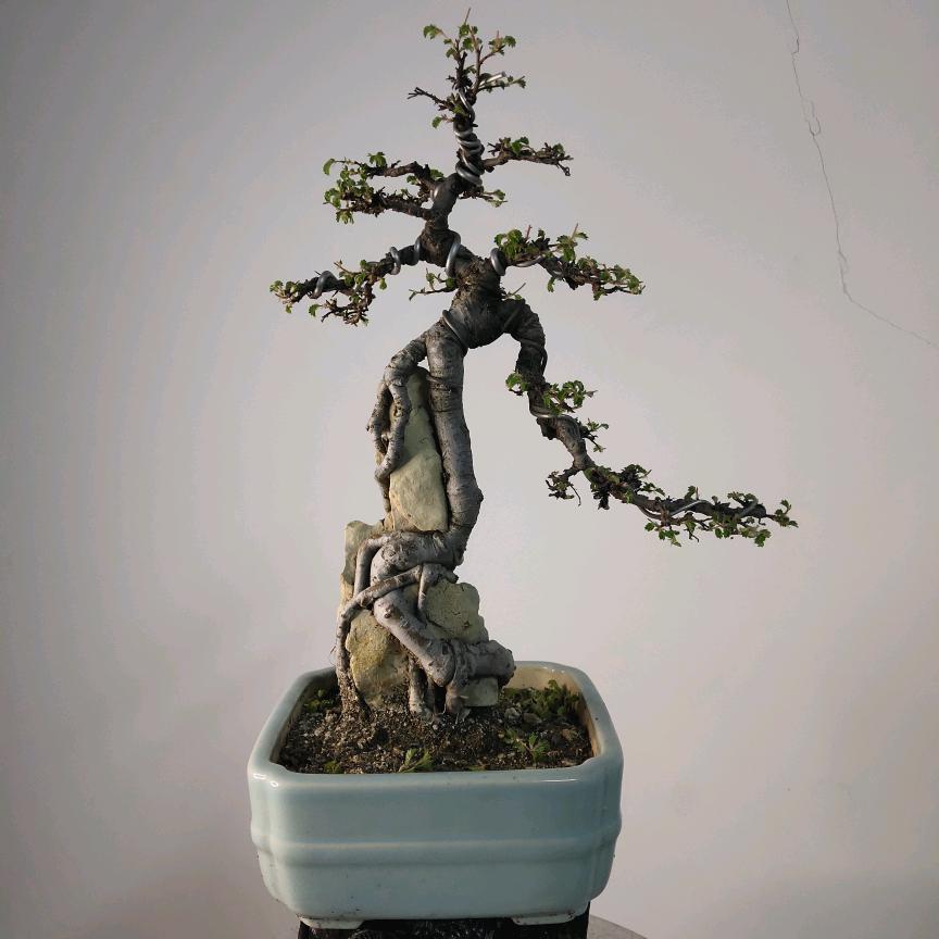 东海老闫