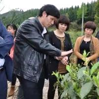 用户郑福杰2551733689415艺