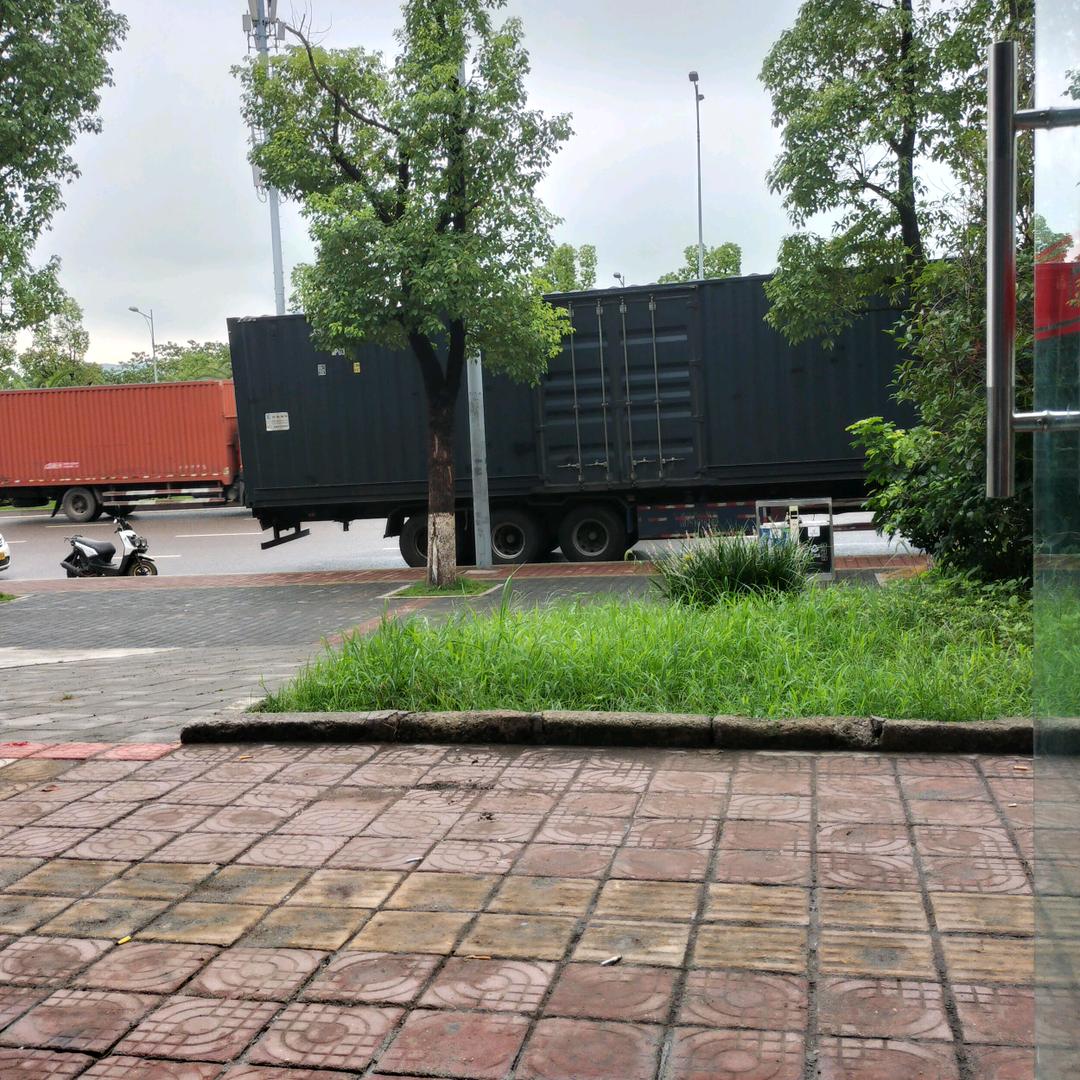 张教练