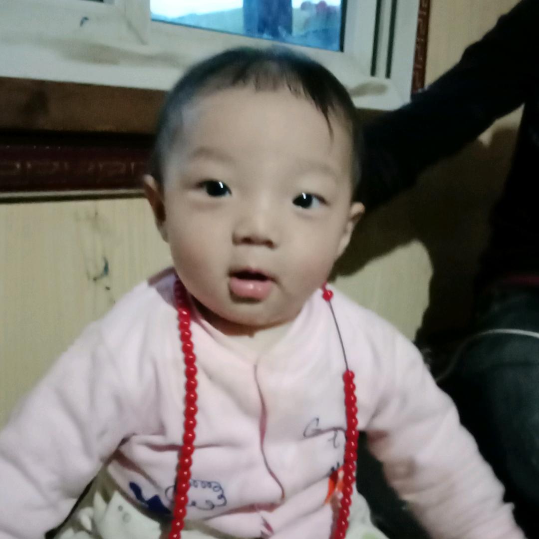 洛布