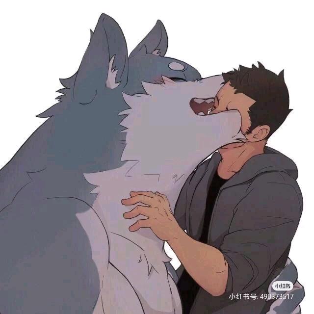 半截的诗·