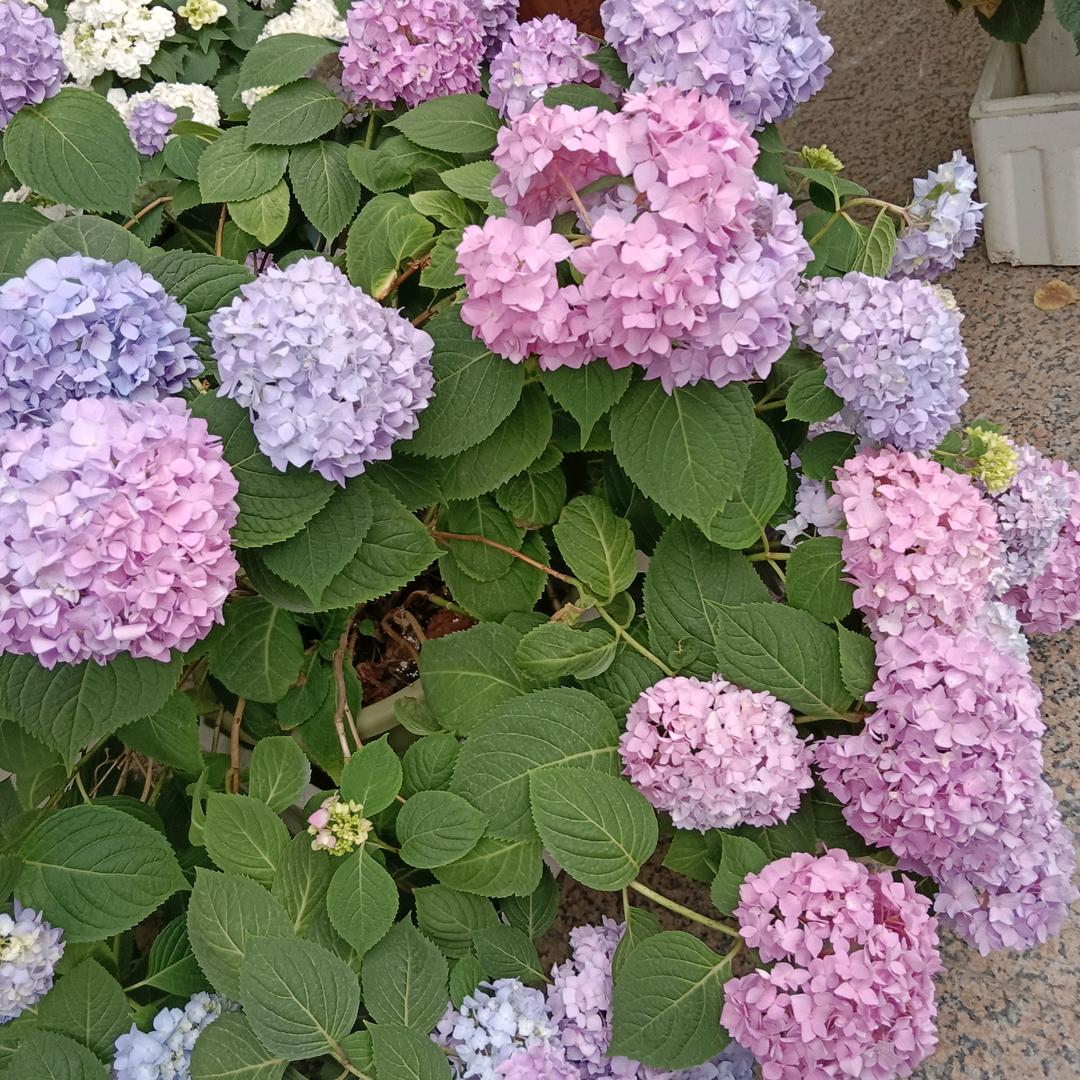 我有一对好儿女