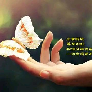随心💕