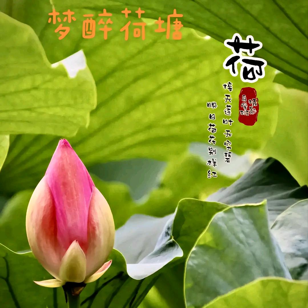 扬帆远航