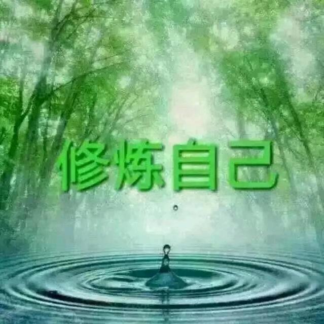 圆愿