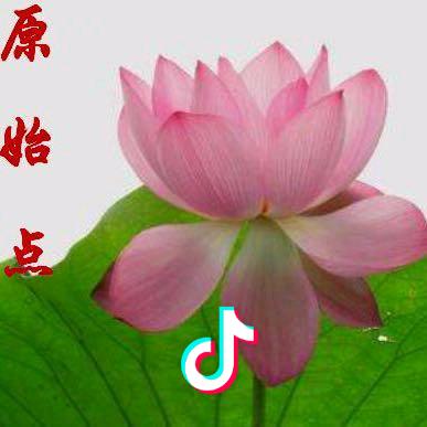 原始点疗法