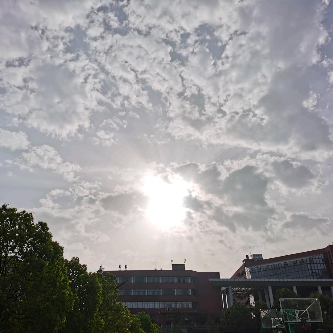 小徐同学