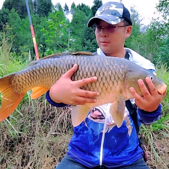 鬼哥谷钓江湖@抖音