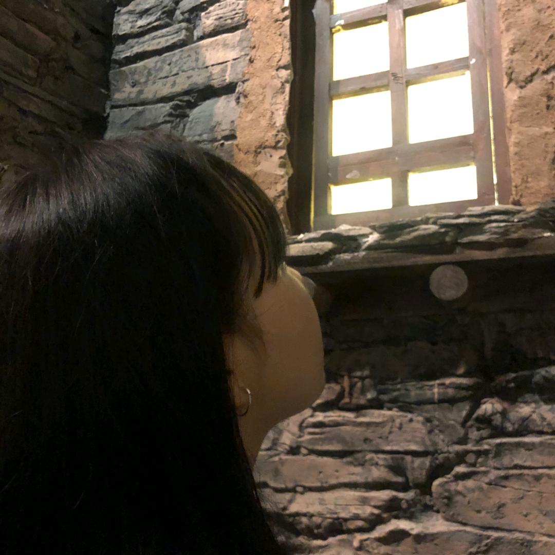 锁昼yu