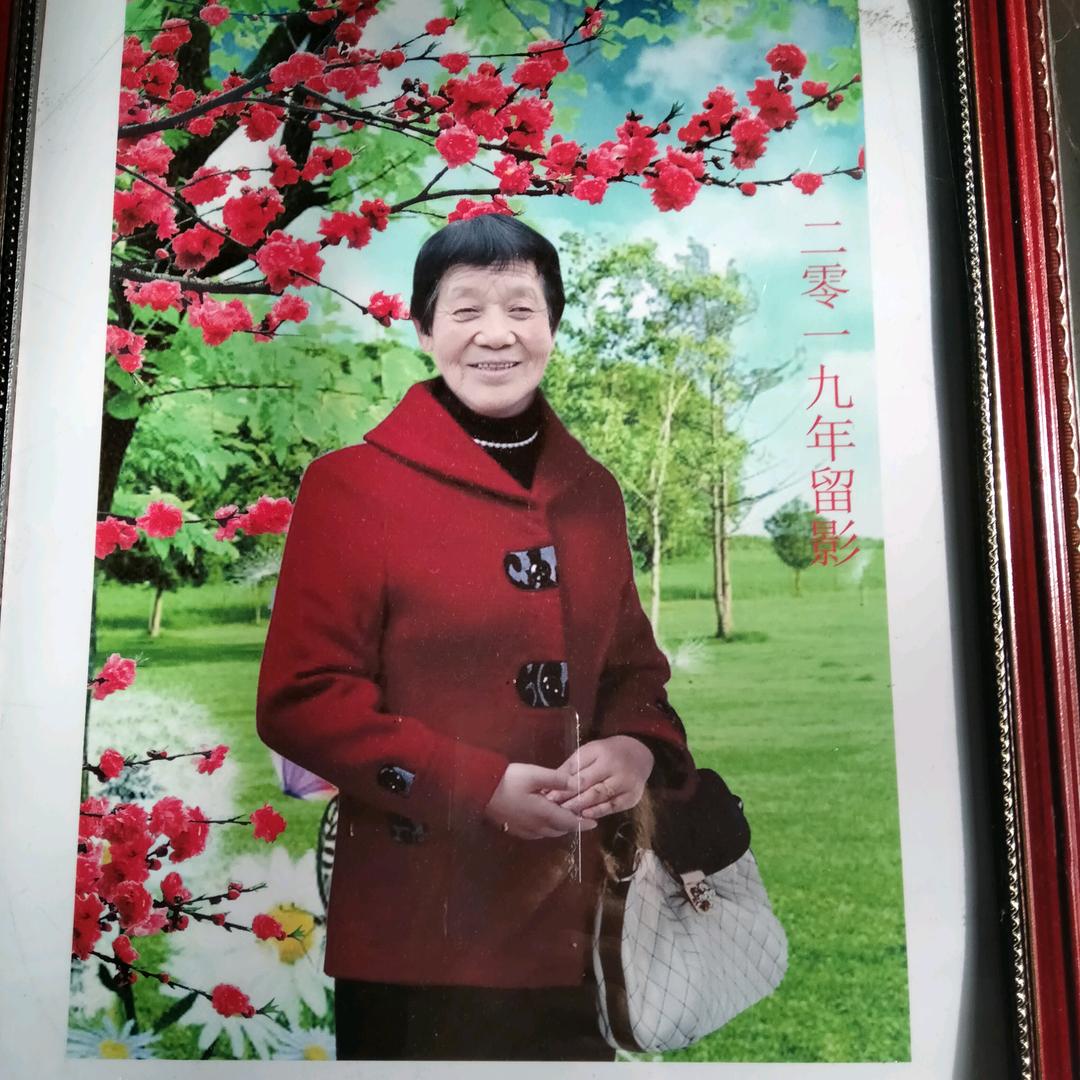 🌹🌹红牡丹🌺🌺