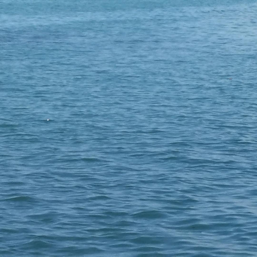 曾经的青春