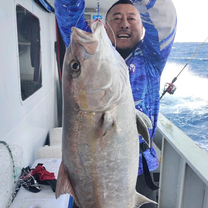 虎哥海钓
