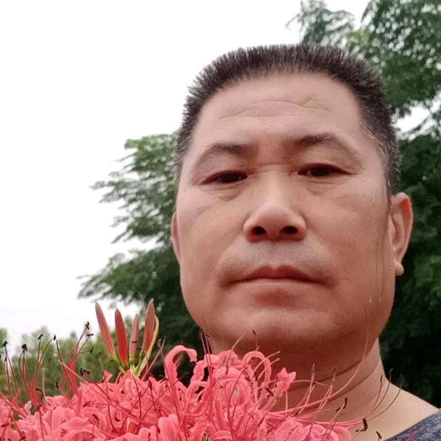 找真心朋友猎狗爱好者