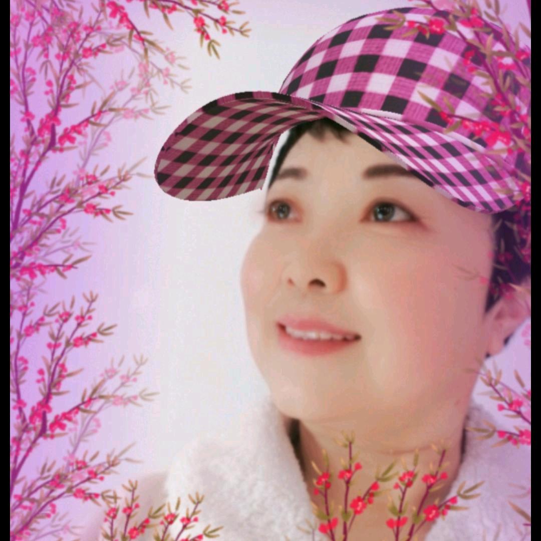 山里红🍁
