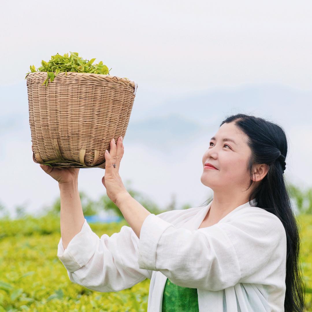 静华（雷公尖茶）
