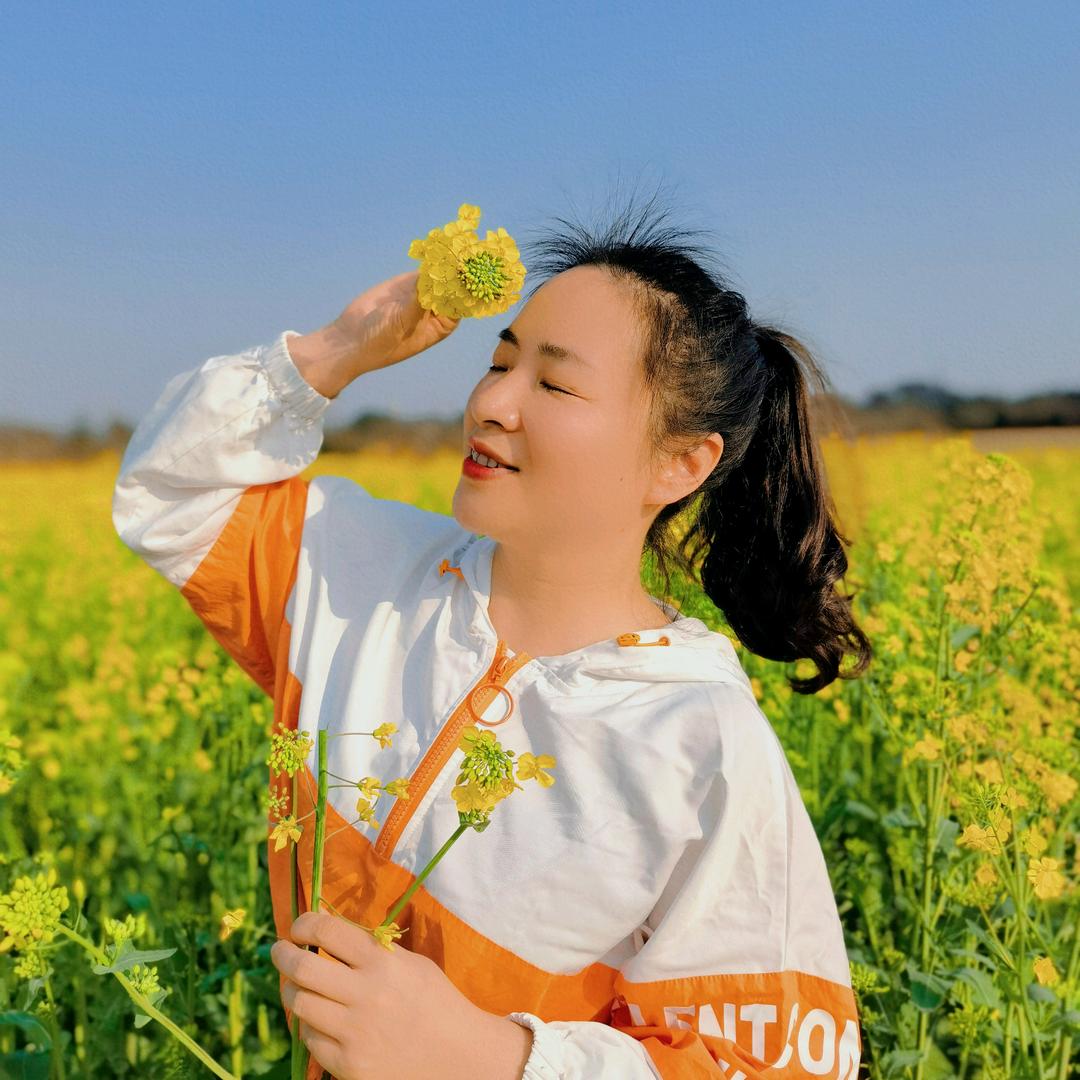 茶叶广场舞冬青树