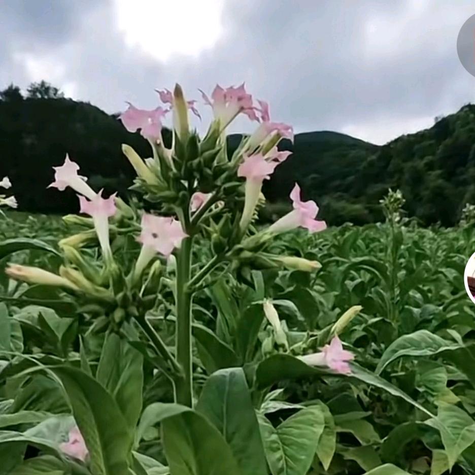 💋甜蜜蜜💋