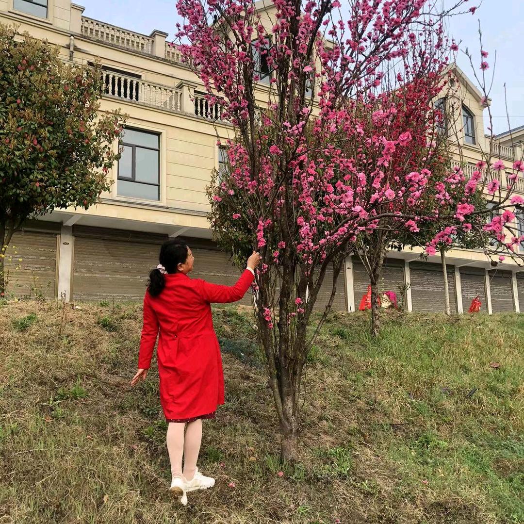 学瀚