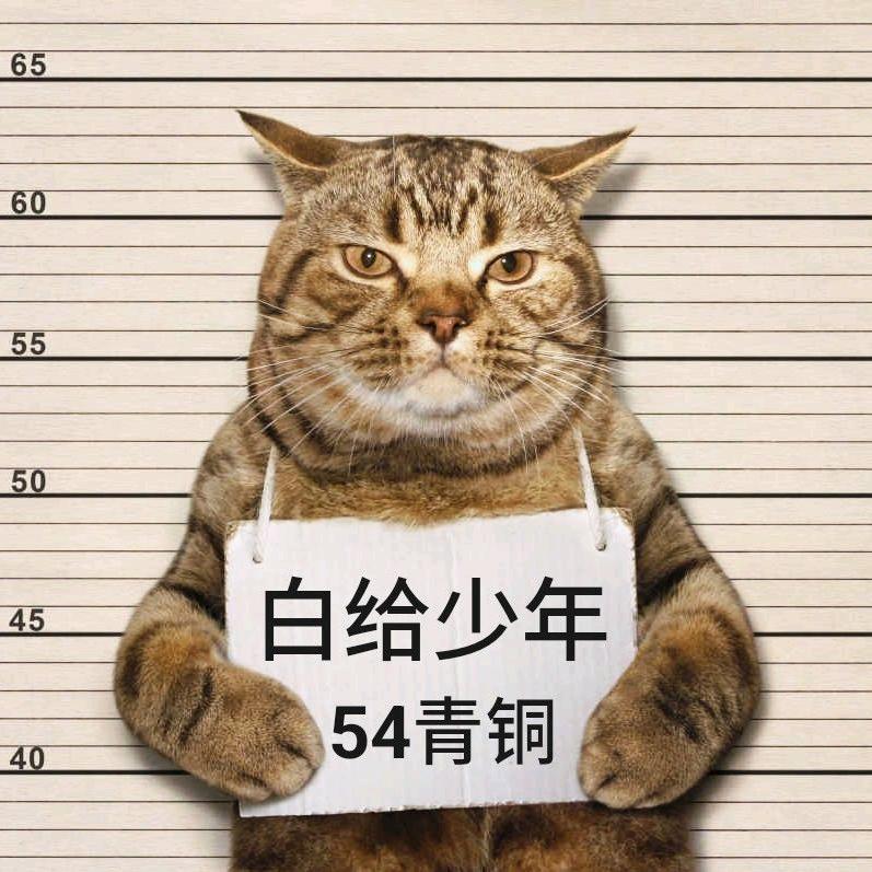 54青铜【护航看主页】
