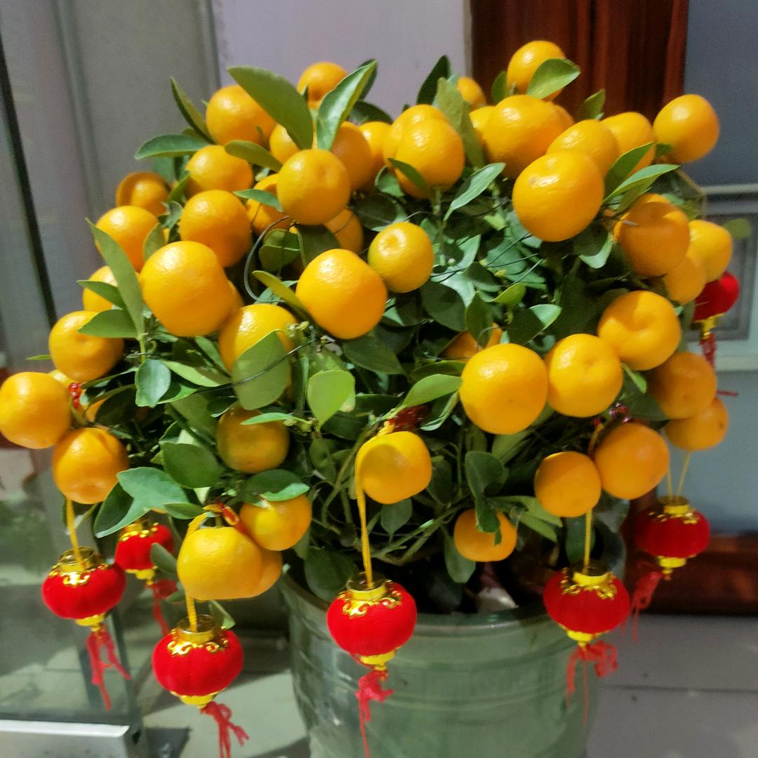 花花三农