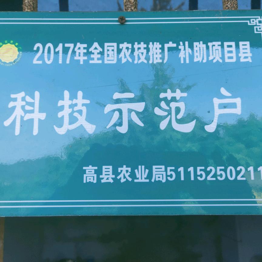 可久镇曹昌元家庭农场