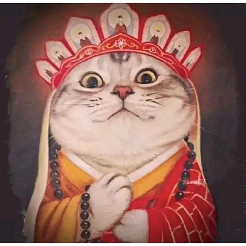 鹿鸣知一
