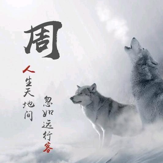 这一路