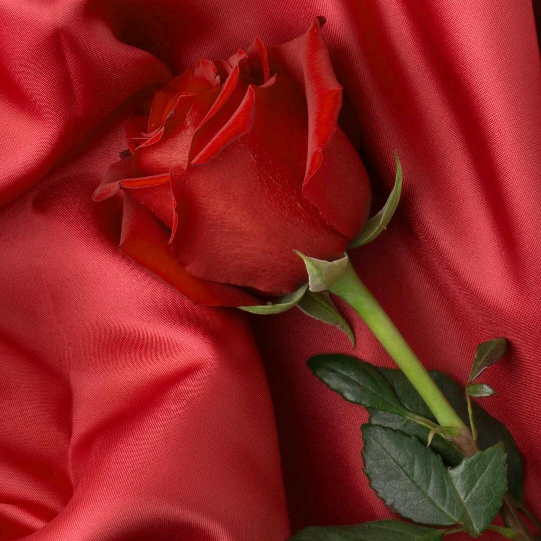 往后余生有你〈拒私聊)