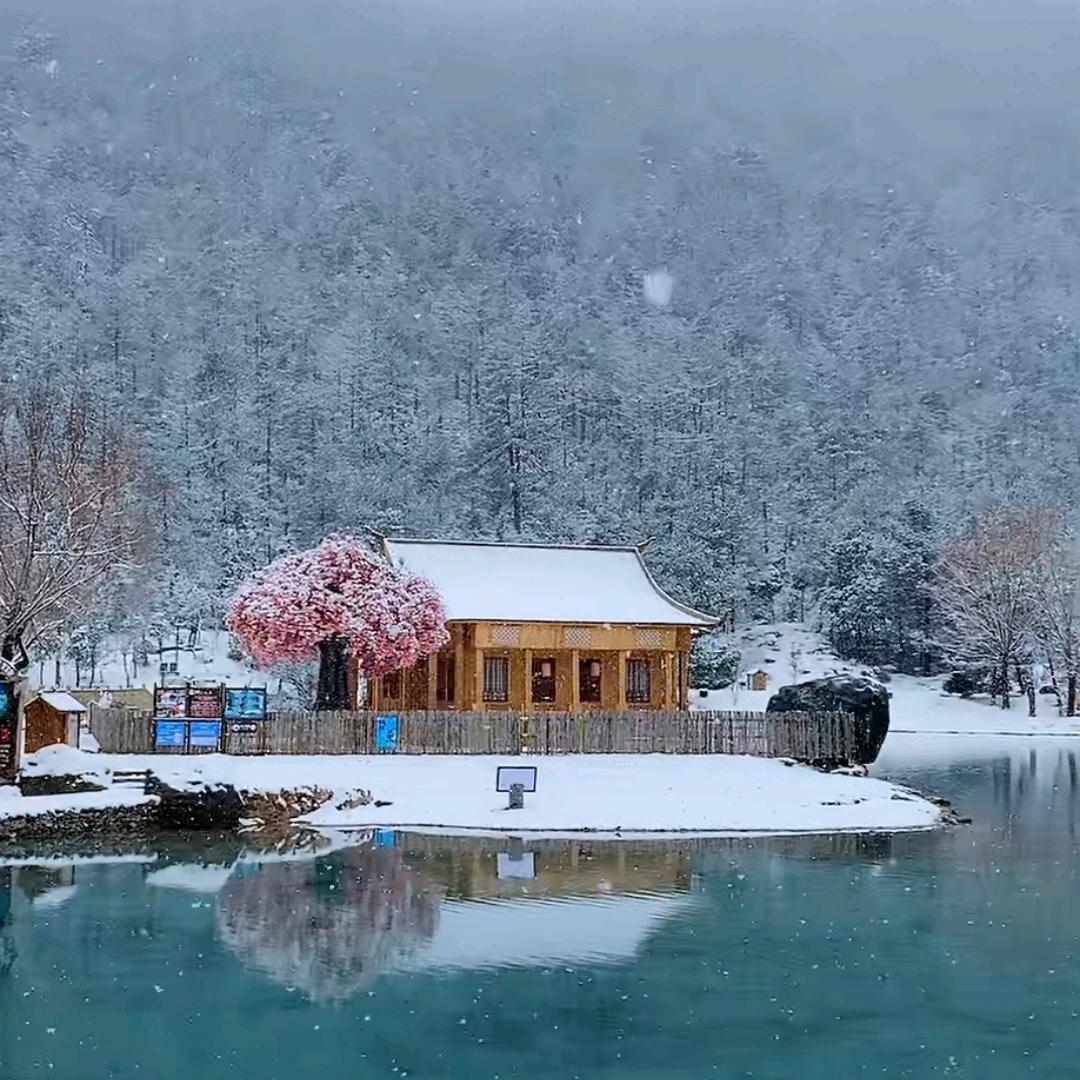 随缘🌹宁静致远