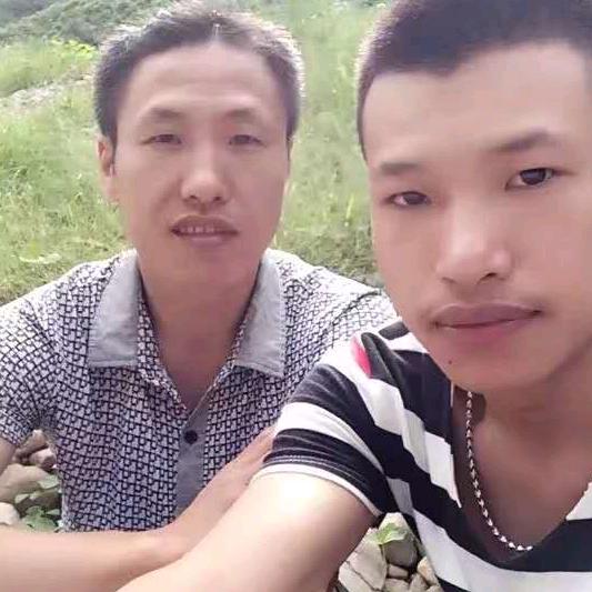 情为何物