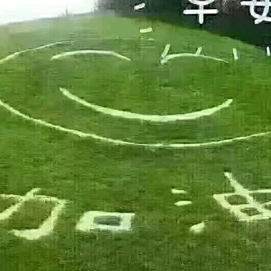 胖丫