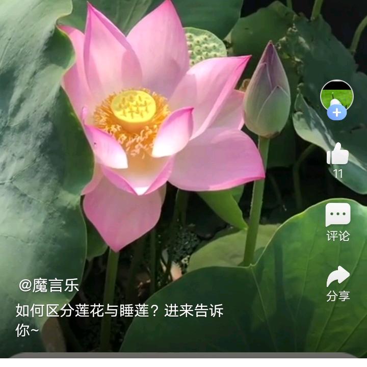 相信自己的力量
