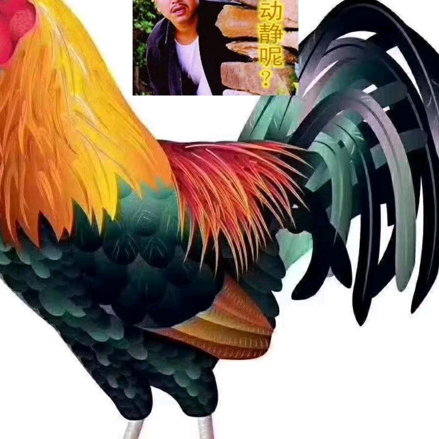 丁老三土鸡专卖店