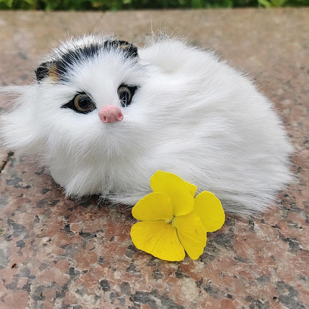 似水