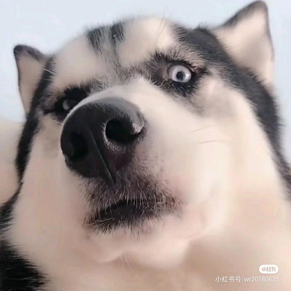 烟於