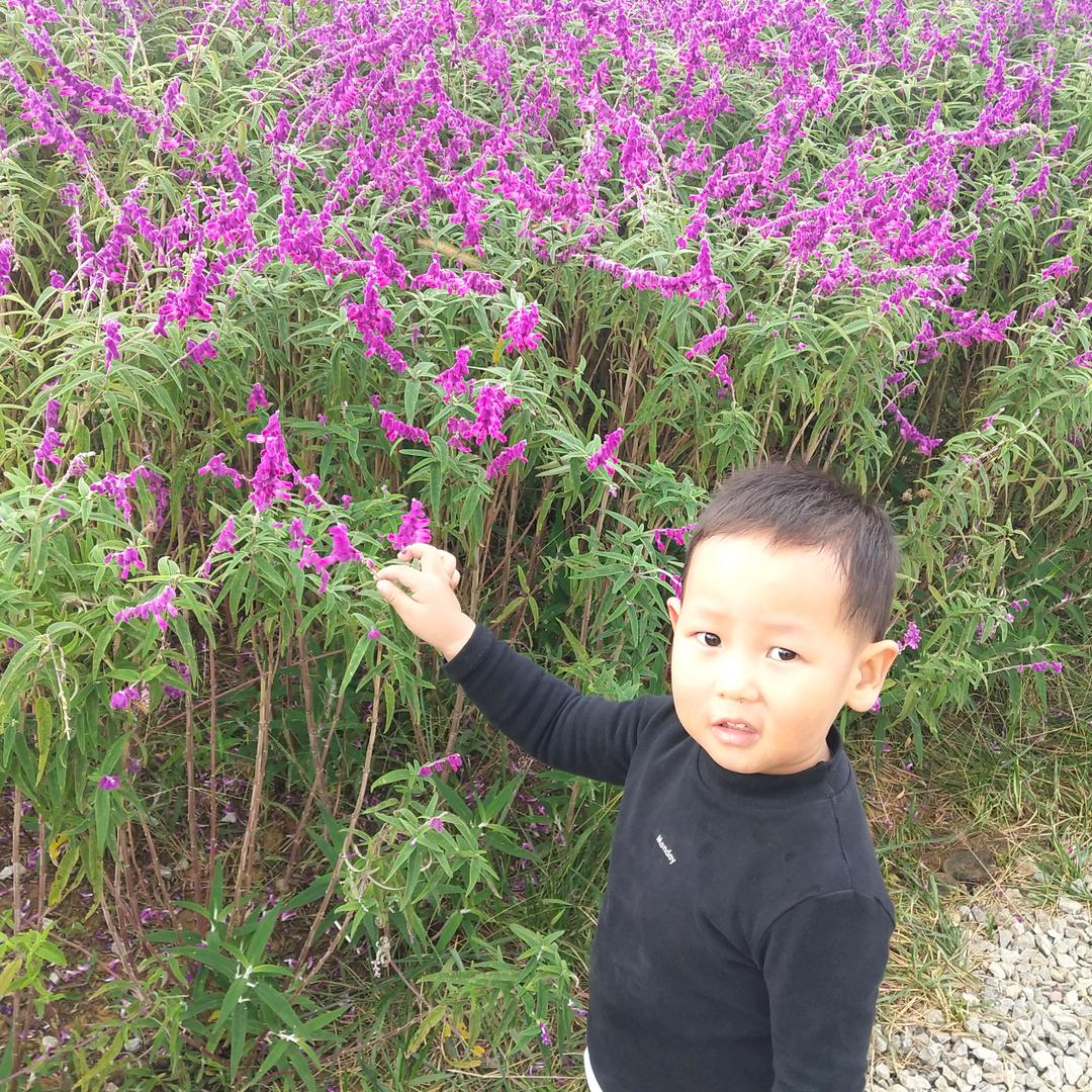 阳光总在风雨后@