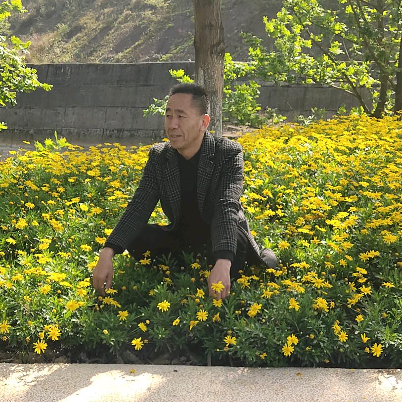 诚信陈信