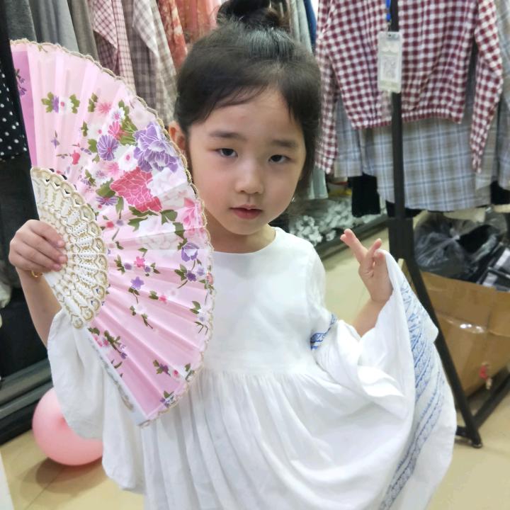 雁过留影