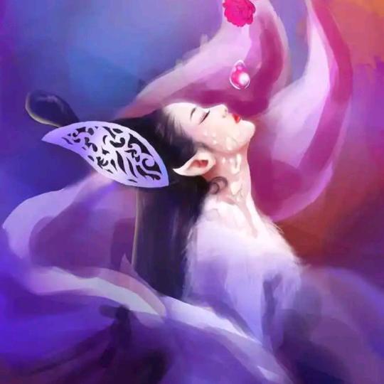 💕青子💕