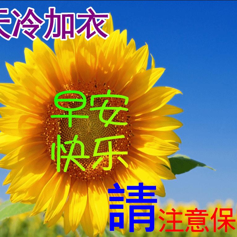 彩莲姐《拒绝私聊》