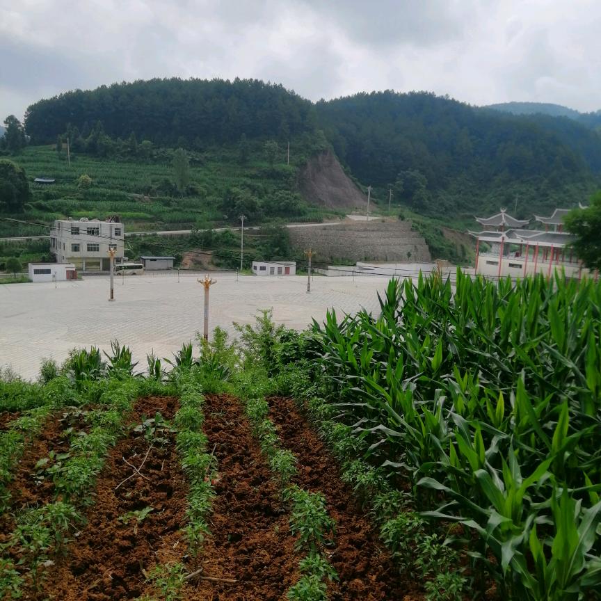 青山依然