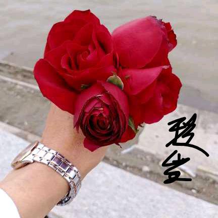 香玲东北伊春特产