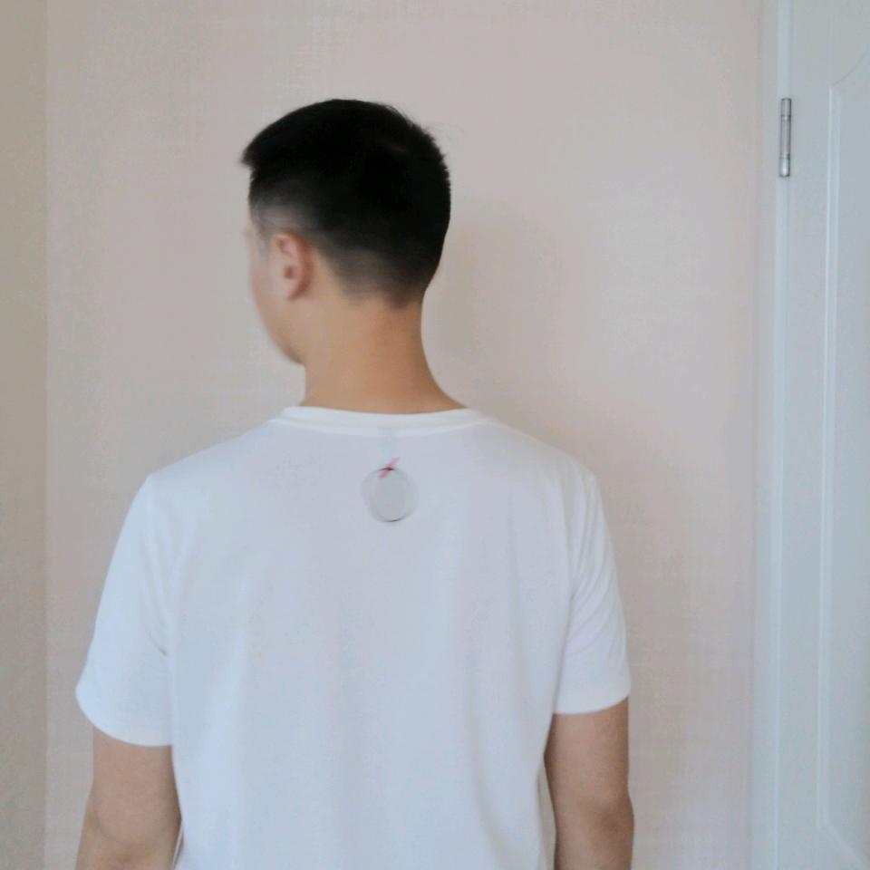 北鱼向北