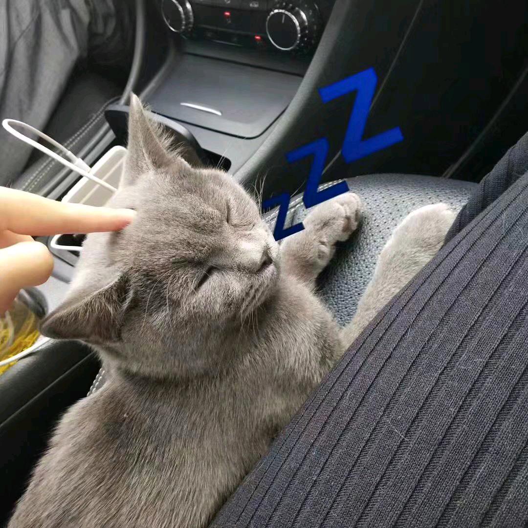 友谊